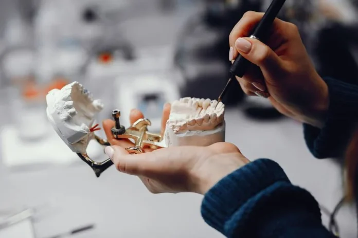 Artificial jaw model used to explain orthognathic treatment planning